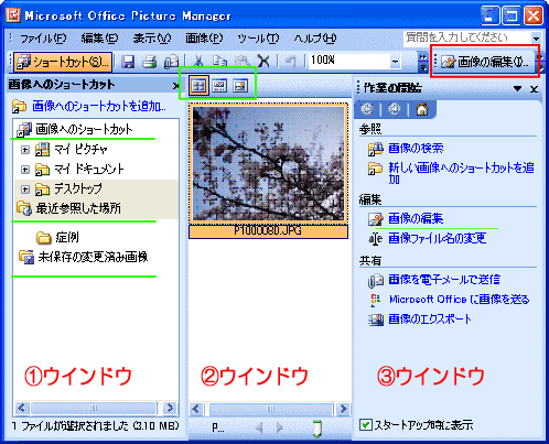 Picture Manager の既定画面 